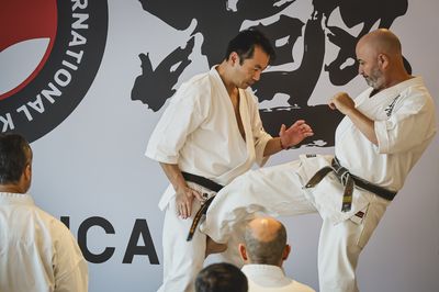 Seminario Kancho Matsui