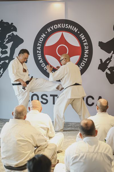 Seminario Kancho Matsui