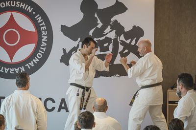 Seminario Kancho Matsui